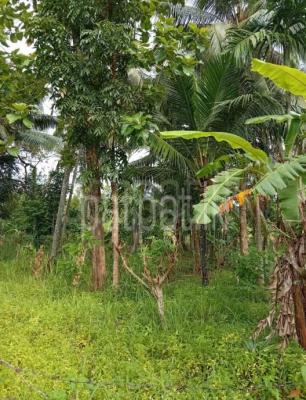 Residential Land for Sale in Veyangoda