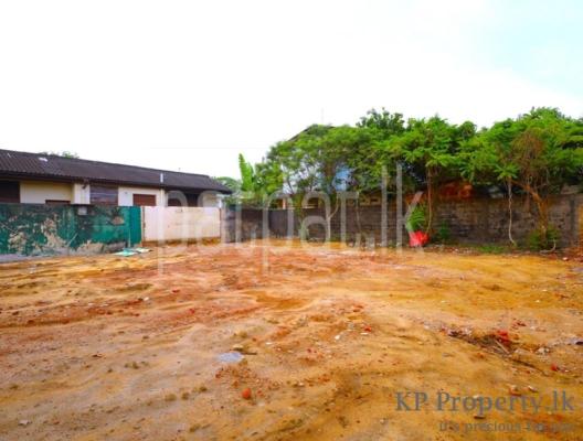 premium-listing-image