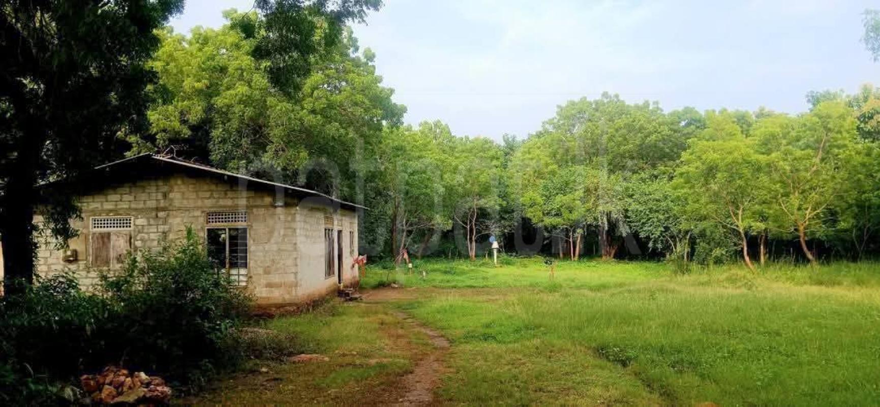 Residential Land for Sale in Kataragama