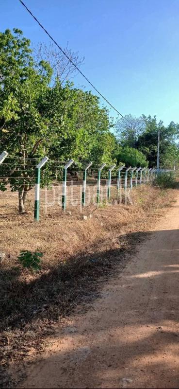 Residential Land for Sale in Tissamaharama
