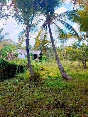 House for Sale in Kuliyapitiya