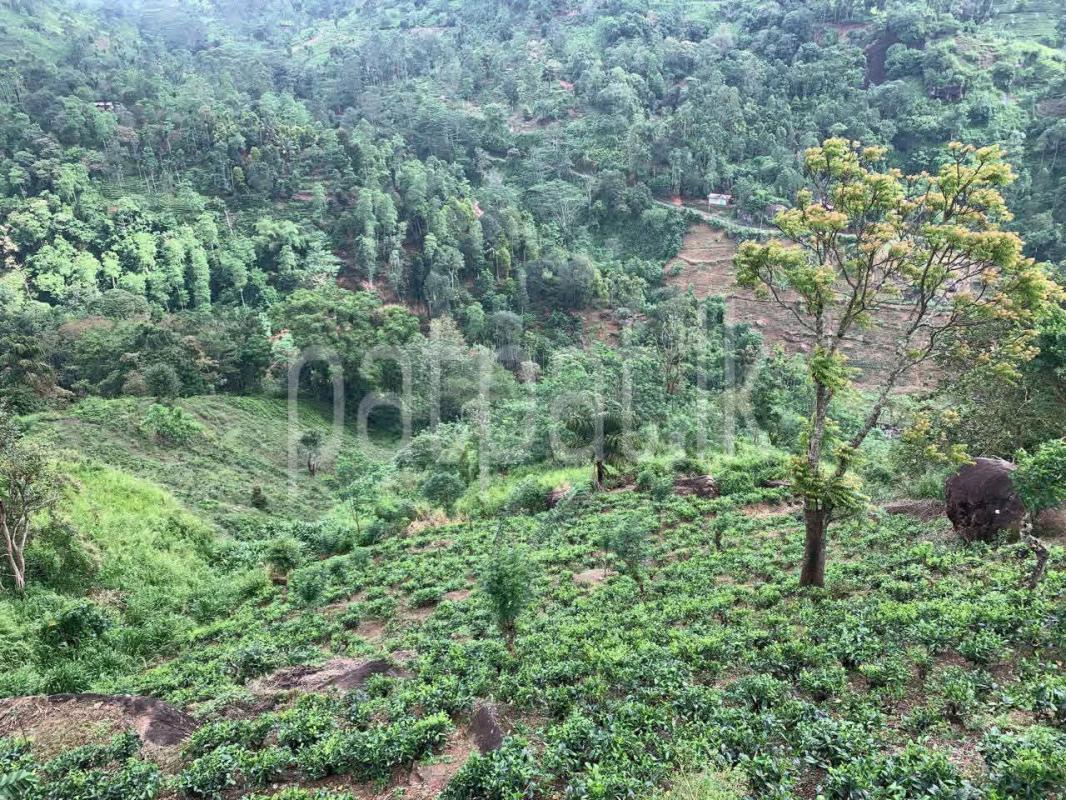 Agricultural Land for Sale in Dolosbage