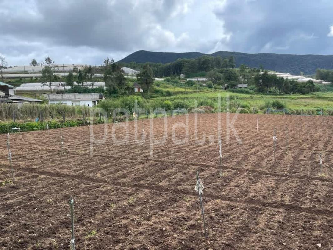 Residential Land for Sale in Nuwara Eliya