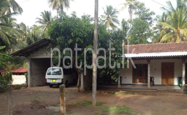 Agricultural Land for Sale in Kurunegala