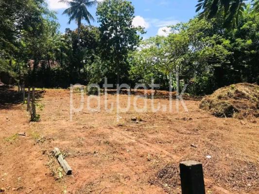 premium-listing-image