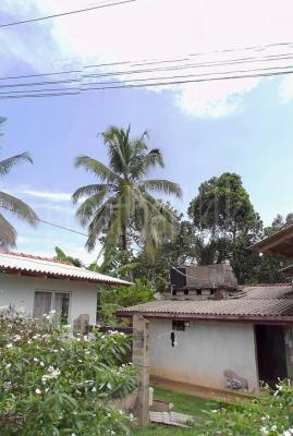 Commercial Land for Sale in Hanwella