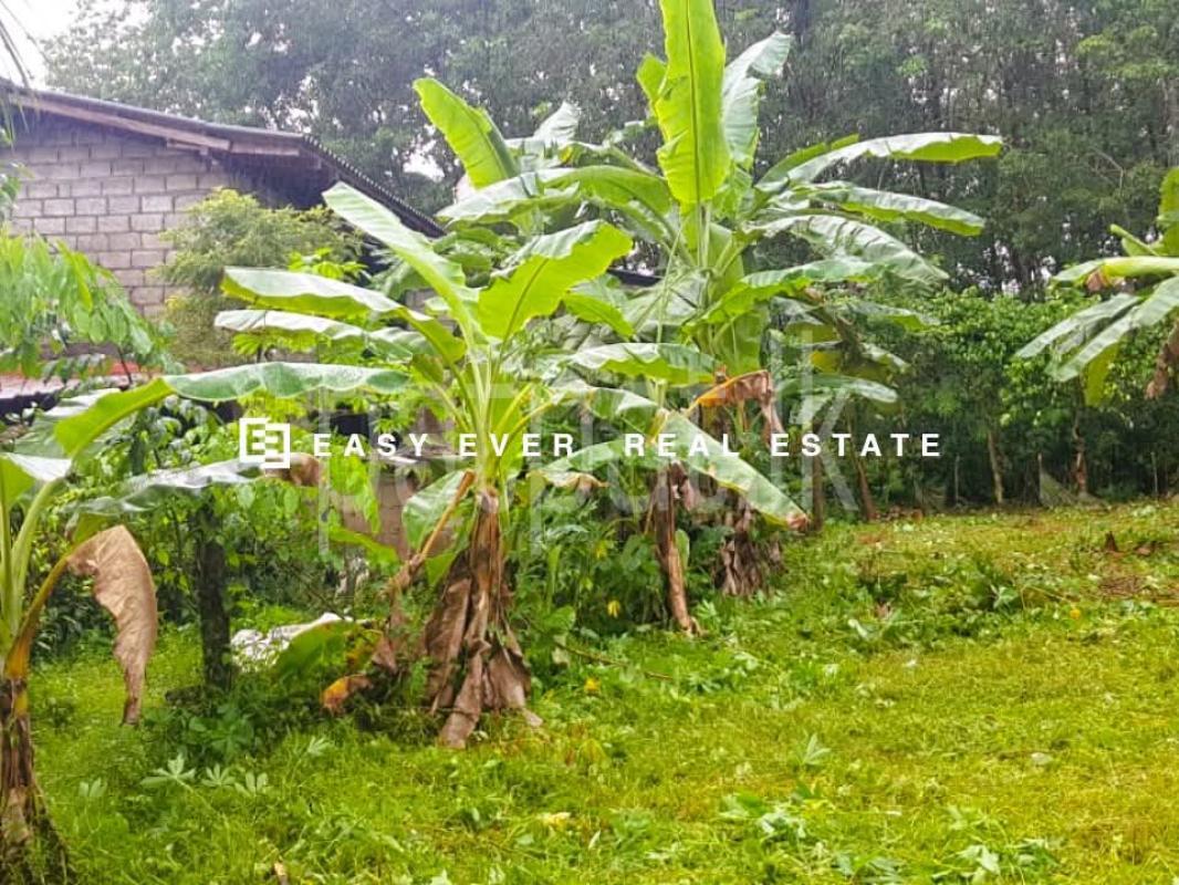 Residential Land for Sale in Matugama