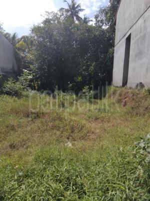 Residential Land for Sale in Makola