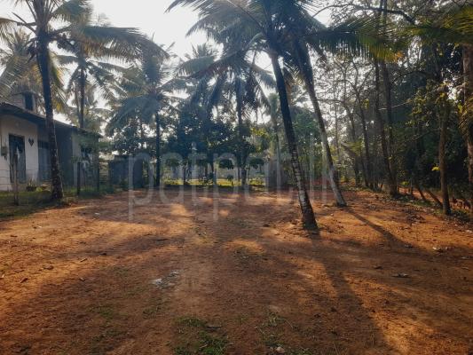 Agricultural Land for Sale in Dompe