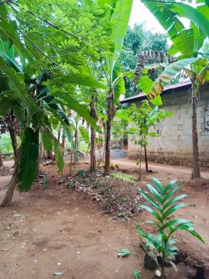 premium-listing-image