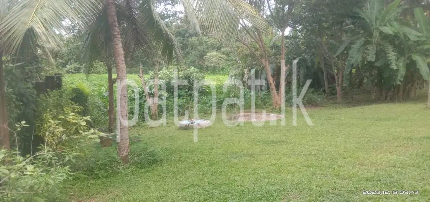 Residential Land for Sale in Giriulla