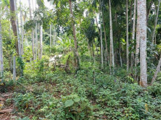 Commercial Land for Sale in Godakawela