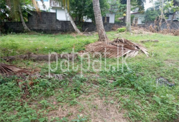 listing-image