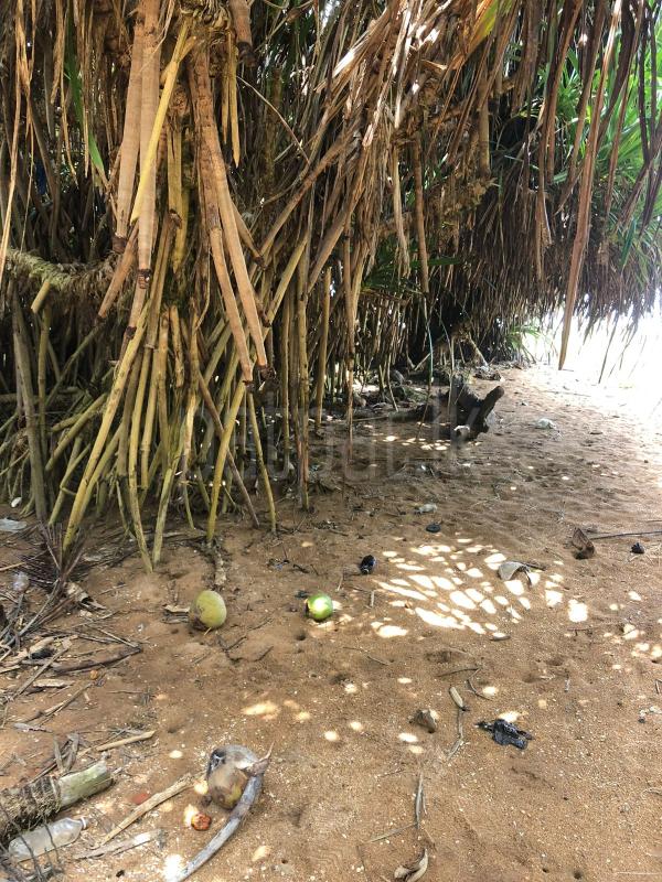 Commercial Land for Sale in Kalutara