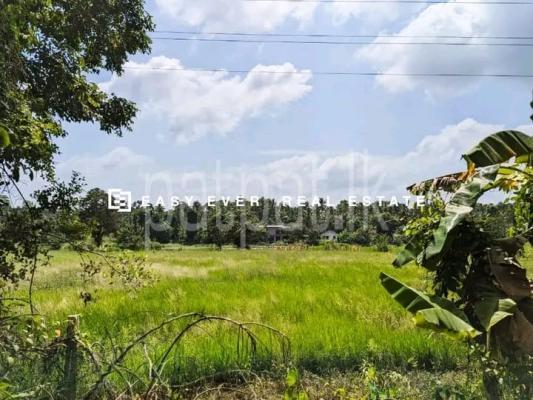 Commercial Land for Sale in Negombo