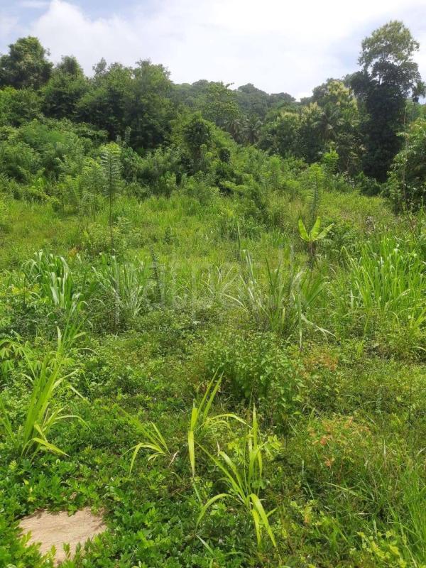 Commercial Land for Sale in Polgahawela