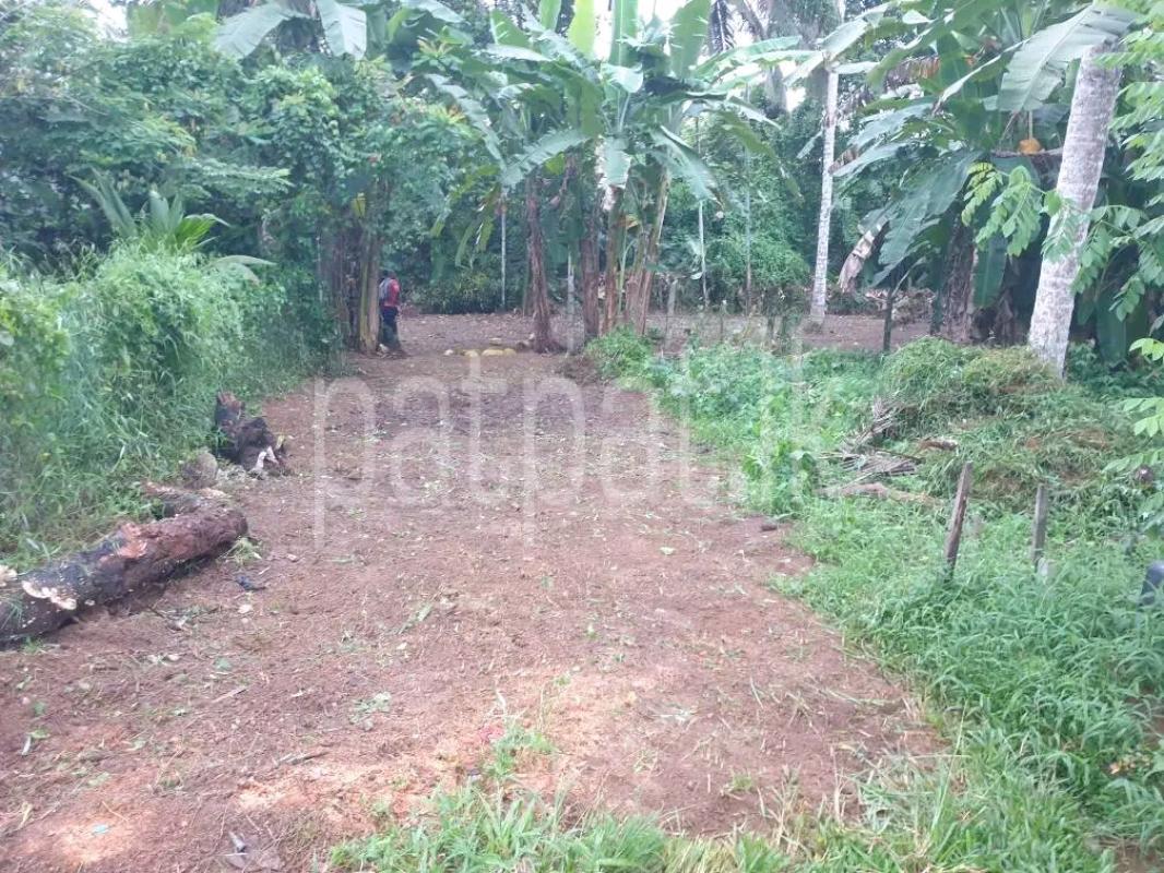Residential Land for Sale in Kelaniya