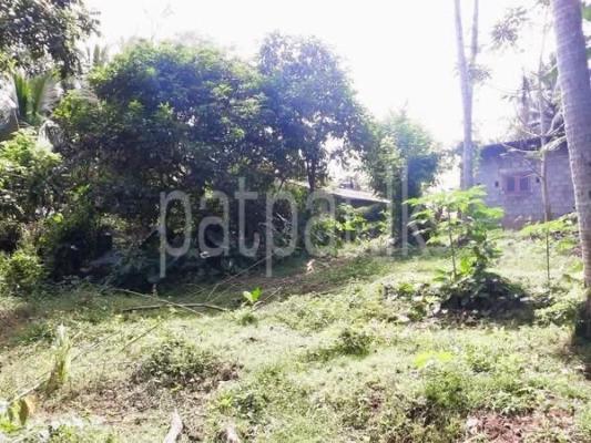 premium-listing-image