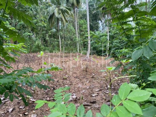 premium-listing-image