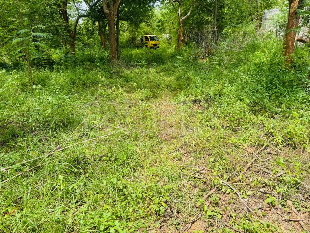 Residential Land for Sale in Ambalantota