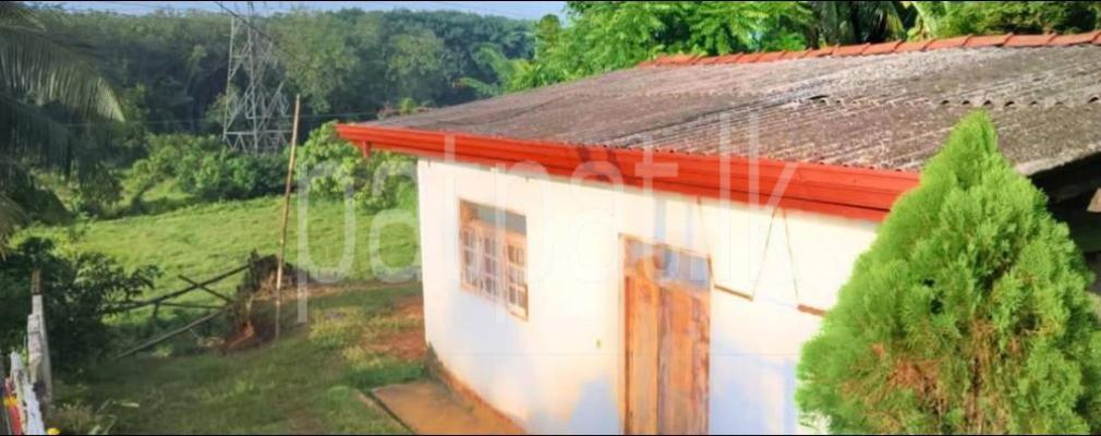 premium-listing-image