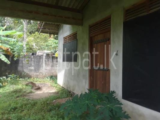 premium-listing-image