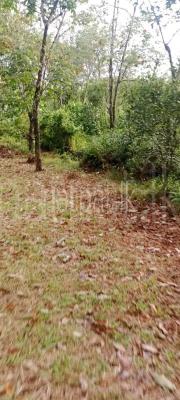 premium-listing-image