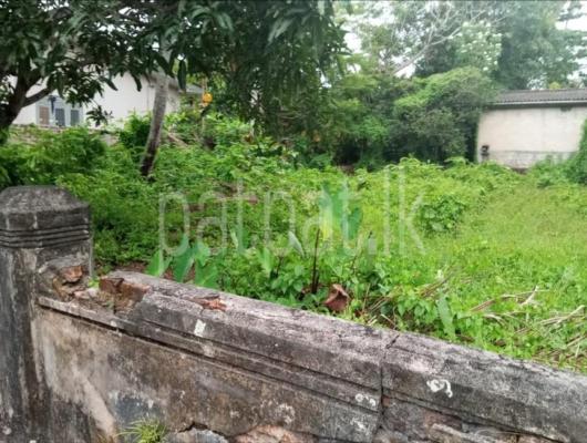 premium-listing-image