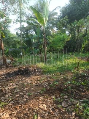 Residential Land for Sale in Gampaha