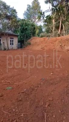 Agricultural Land for Sale in Kadawatha