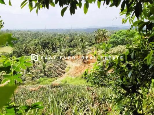 Commercial Land for Sale in Minuwangoda