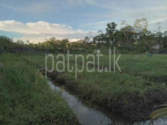 premium-listing-image