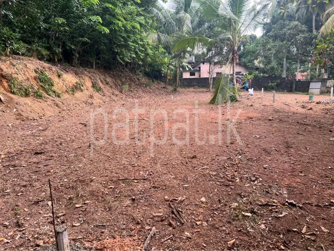 Residential Land for Sale in Adampan