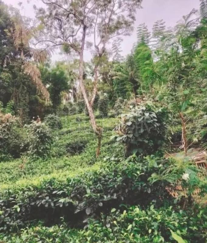 House for Sale in Makandura