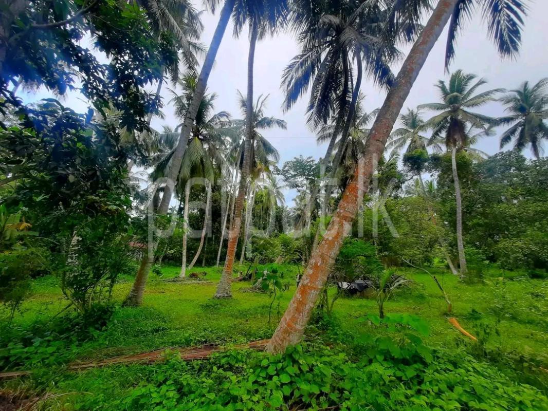 Residential Land for Sale in Kalawana