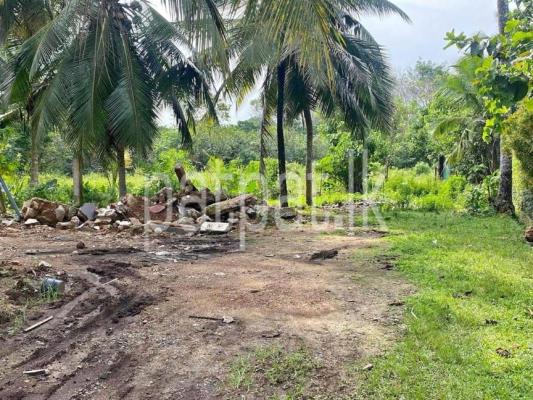 premium-listing-image