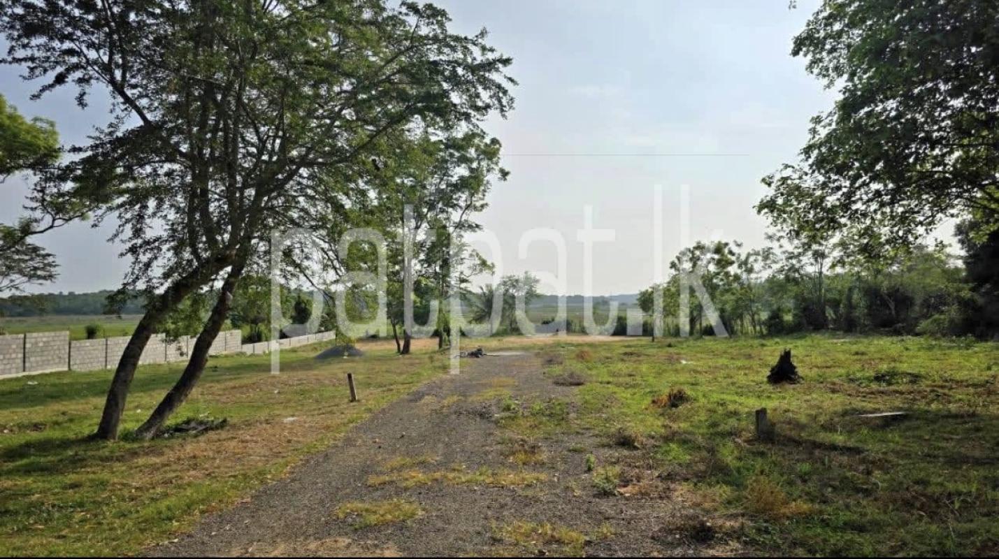Residential Land for Sale in Tangalla