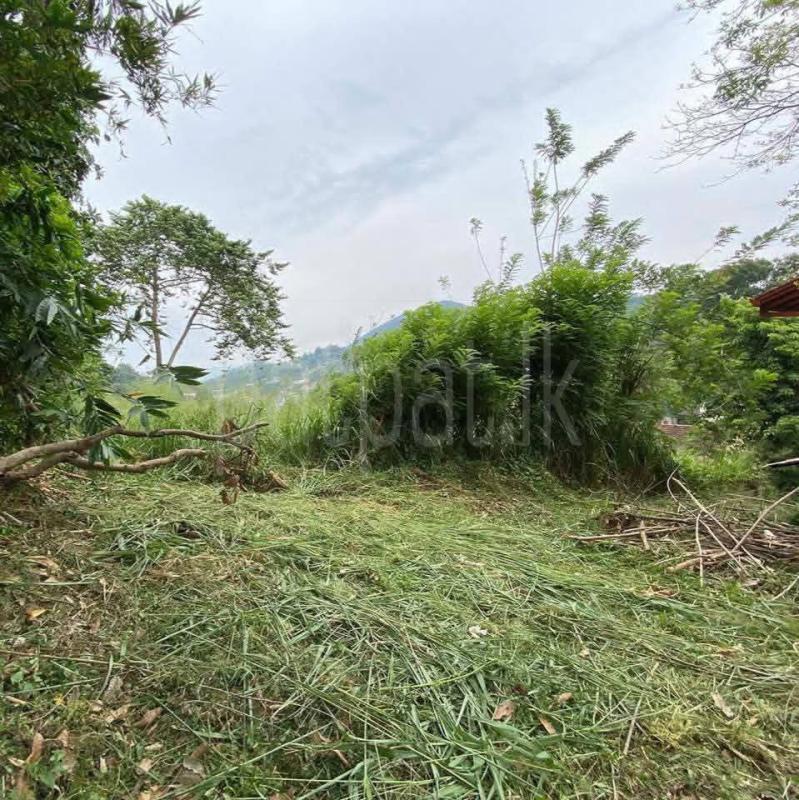 Residential Land for Sale in Kandy