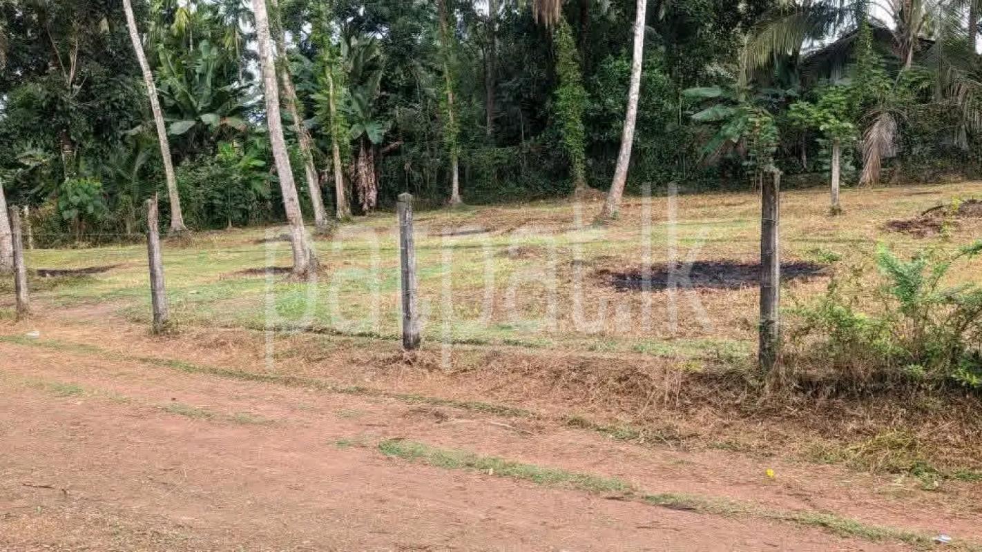Agricultural Land for Sale in Gampola