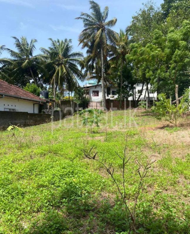 Commercial Land for Sale in Kotte