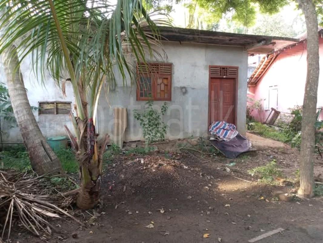 Commercial Land for Sale in Dikwella