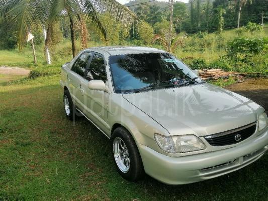 premium-listing-image