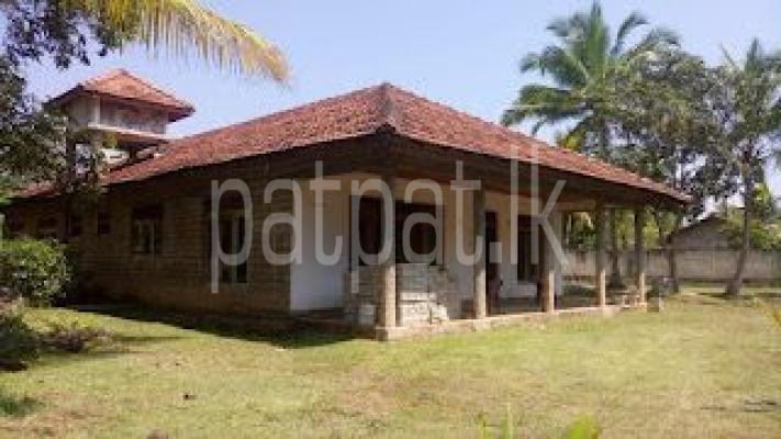 premium-listing-image