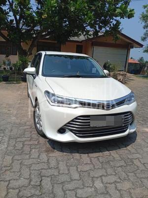 Toyota Axio 2016