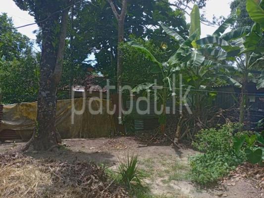 premium-listing-image