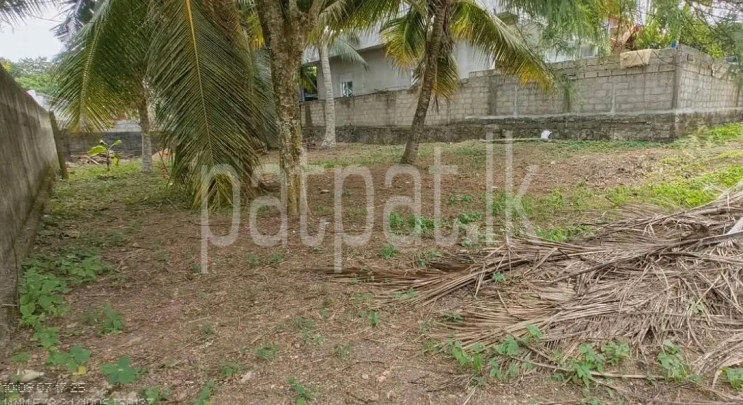 Agricultural Land for Sale in Chilaw