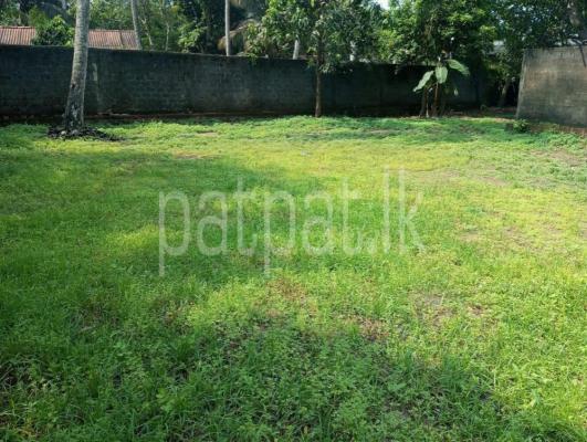 premium-listing-image