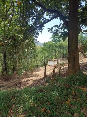 premium-listing-image