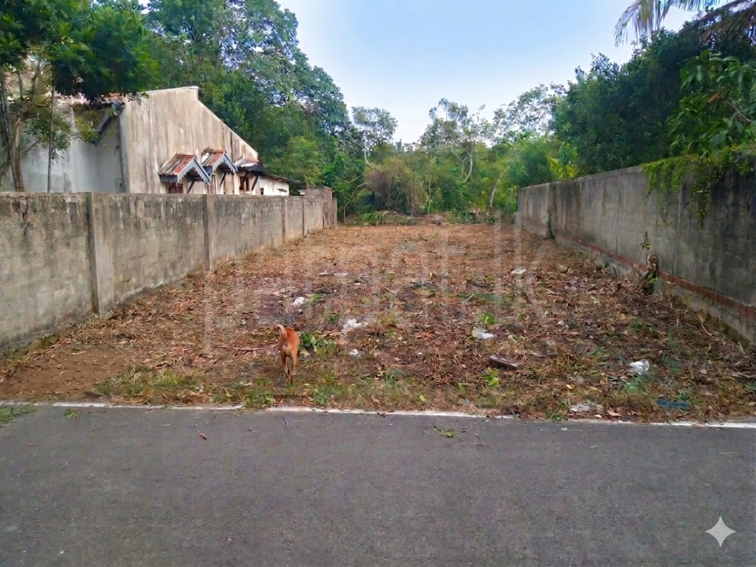 Residential Land for Sale in Ja-Ela