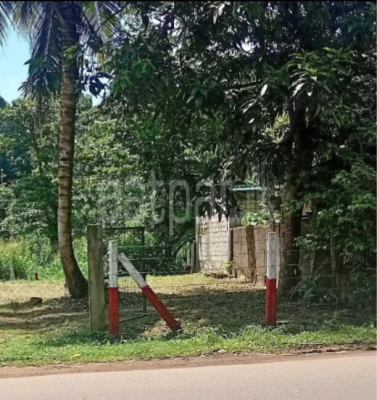 premium-listing-image